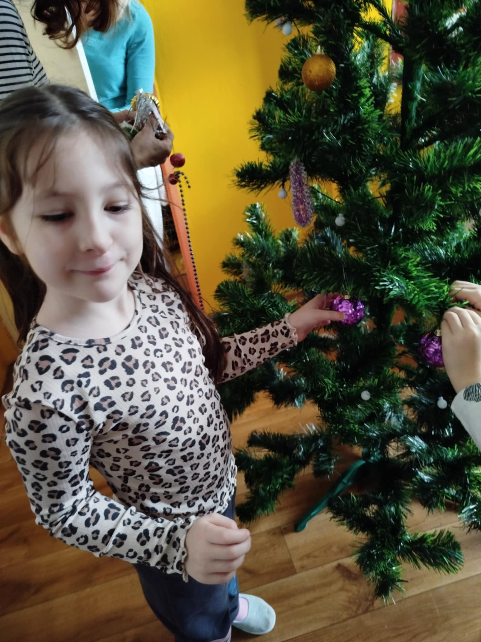 5c6219e0-da90-4a41-9645-d5ef0aa5419d