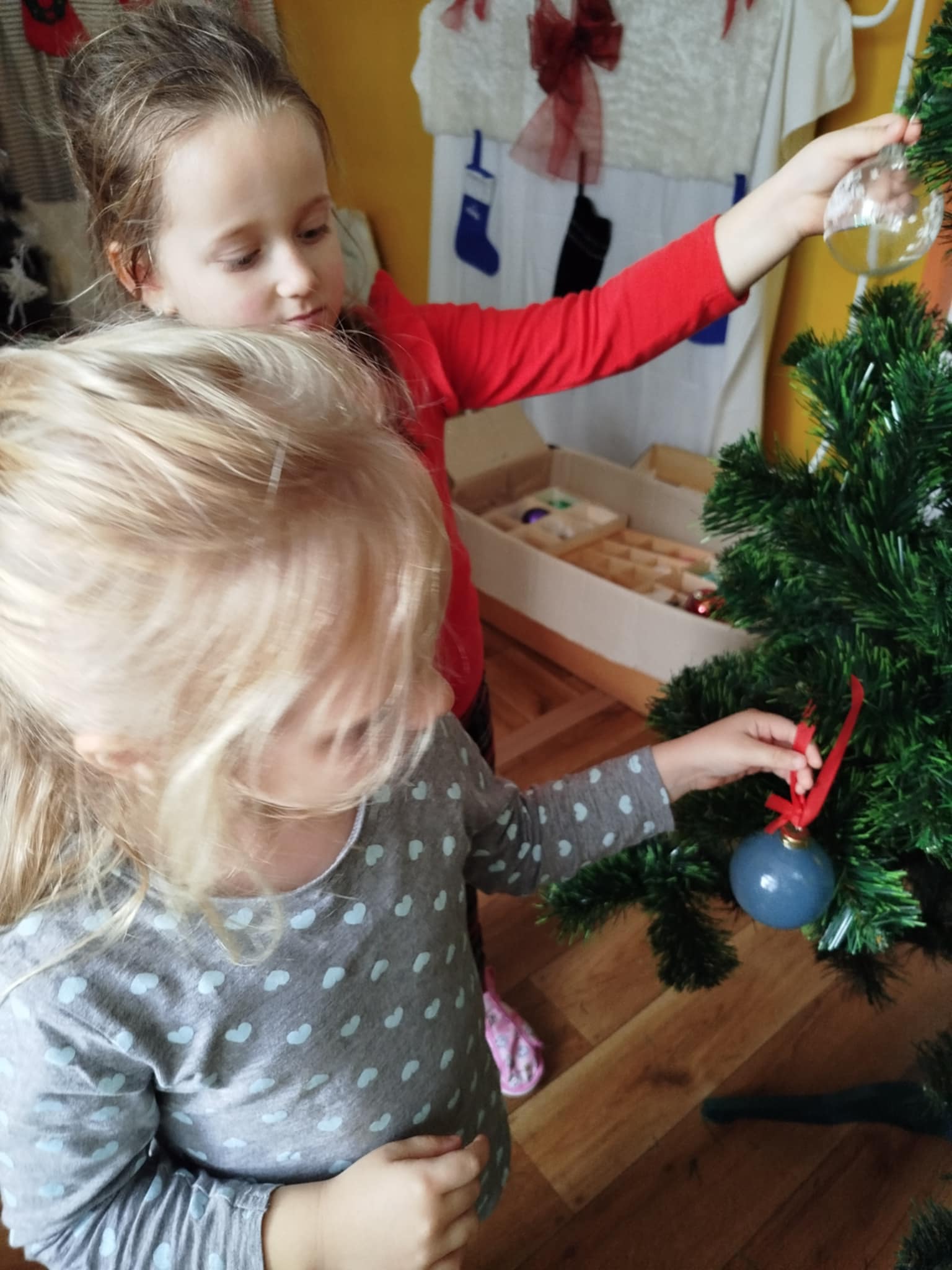 427eb752-5c92-4dca-a55b-56620b48d36a