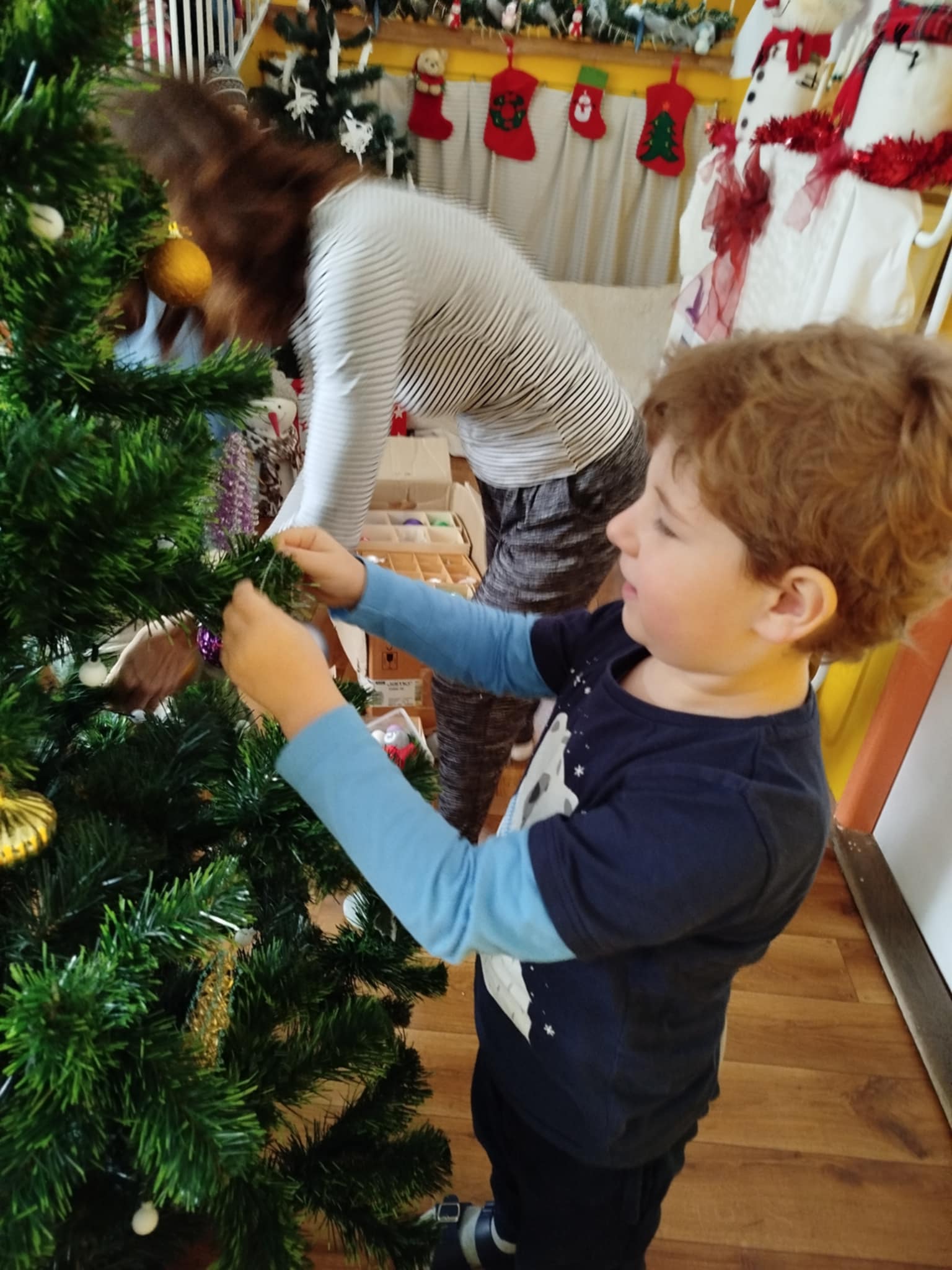 491c9023-d25b-4f53-a906-a16f97e25a4f