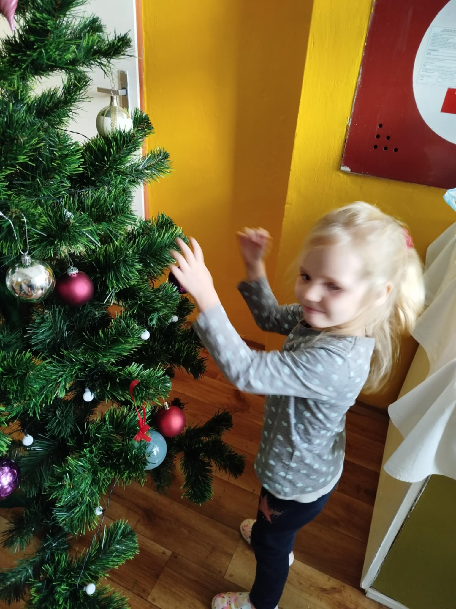 7006a452-31c1-44f3-9c88-ab238fd27afe