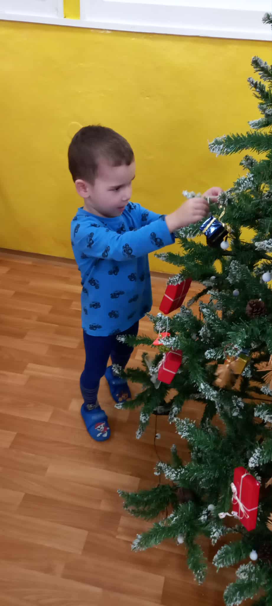 f424cd29-f85c-4286-9490-c6c2d10c6b17