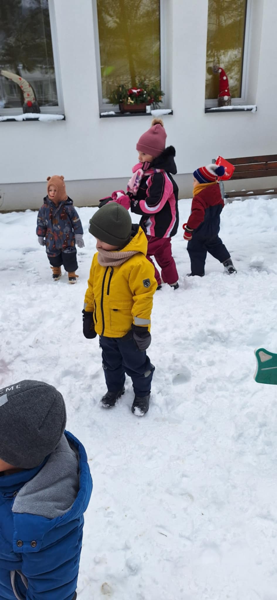 46e49b3d-2c4c-476b-bcd3-cf0c6342debb