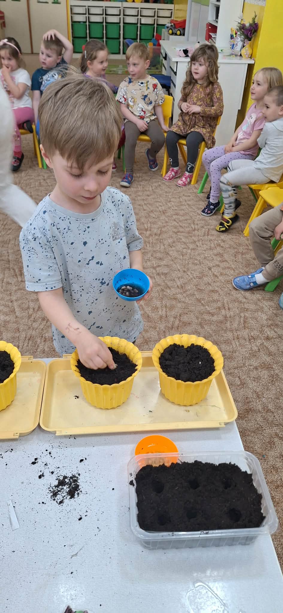 cd41751a-36f1-4b06-8721-655467a72dae.jfif