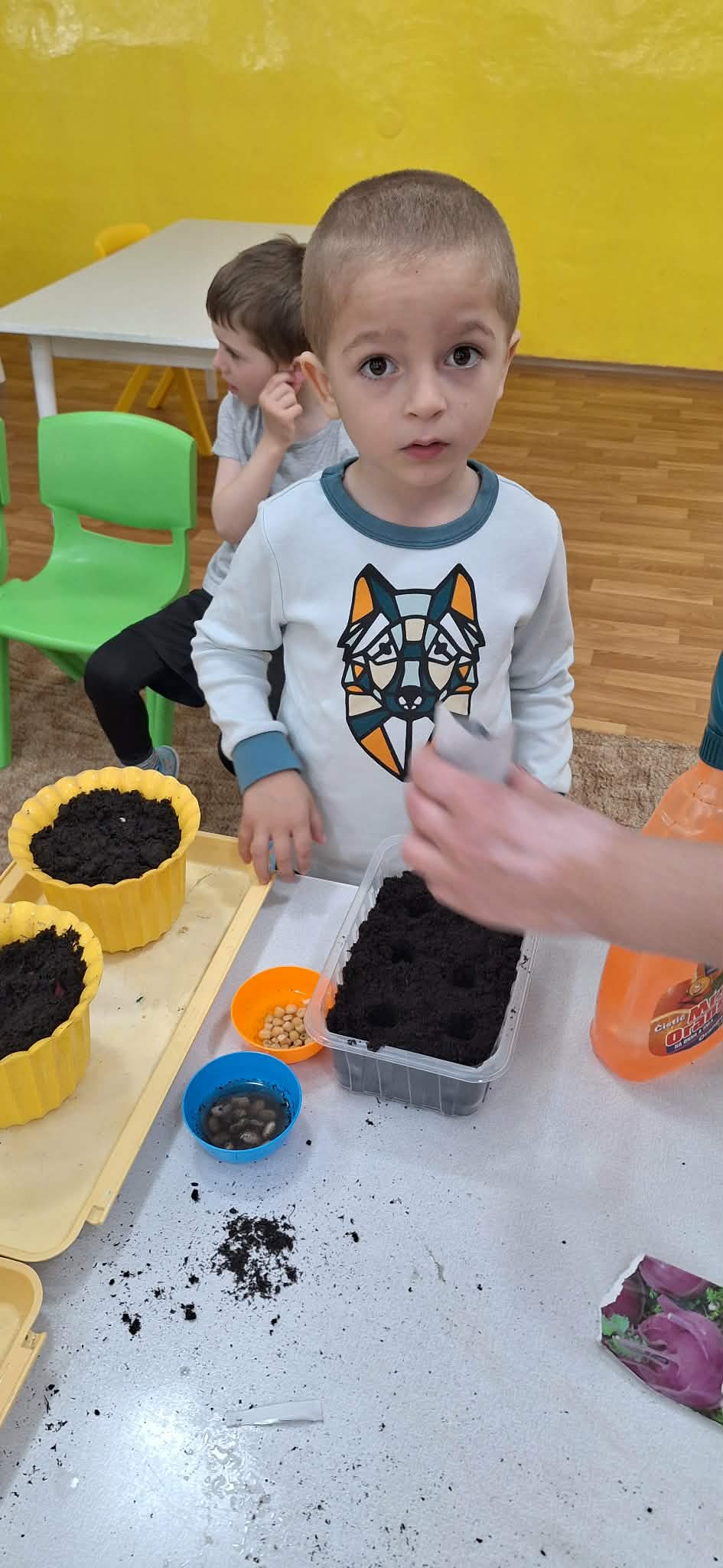 09b11490-0454-429b-a545-8ed31b5d6f4e.jfif