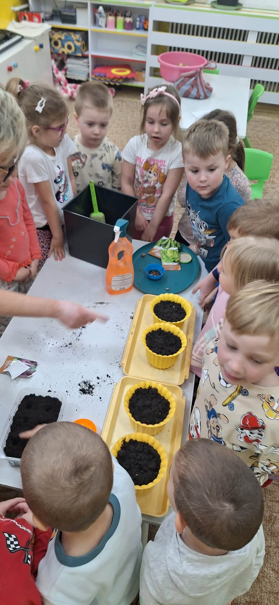 23d18ab1-dc27-47bb-8171-c728e4555a2a.jfif