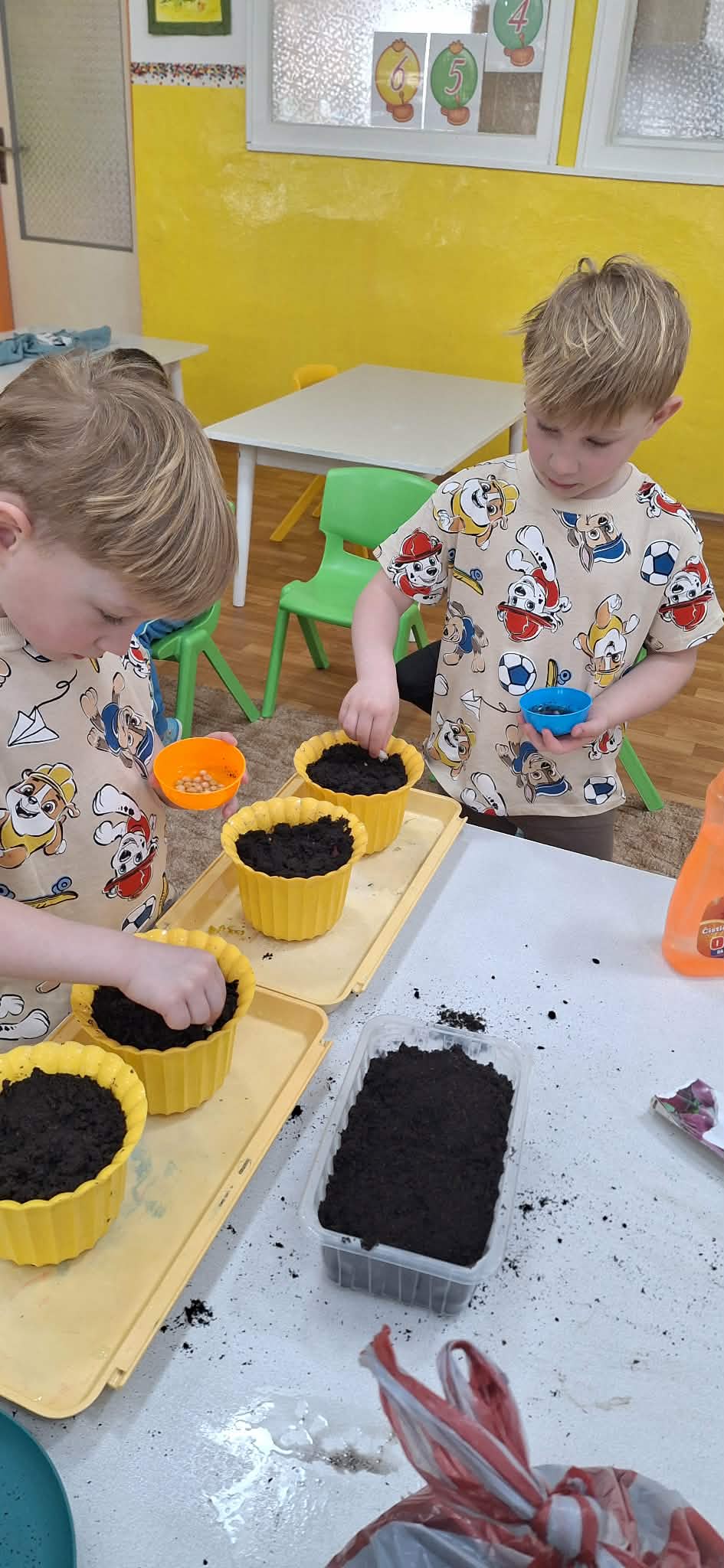 2785dfe2-238d-449b-8c56-44816ddd03a1.jfif