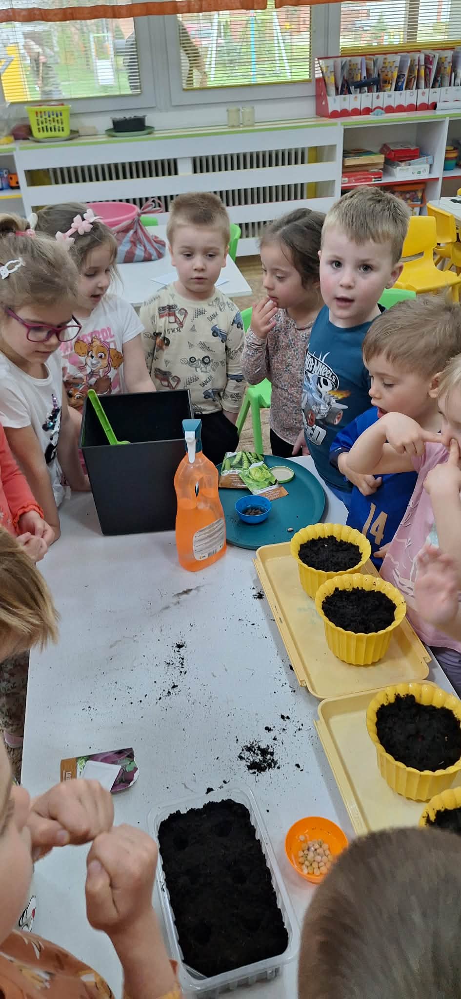 6929b857-4a30-44f2-837d-01ebb9217b66.jfif