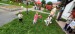3f037242-6c51-41f5-b116-ffe781e9d2e6.jfif