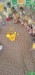0017d703-ebee-438b-8184-7a353d1c382c